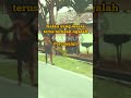 YANG WARAS STOP NGALAH KATA KATA SINDIRAN HALUS Waras Oranggila Mengalah