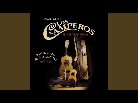 El huizache - The Sweet Acacia