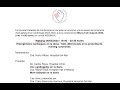Vista prèvia vídeo