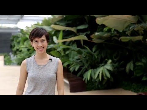 HTC Presents: How to take Amazing Photographs