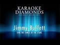 Jimmy Buffett - Why Don't We Get Drunk 