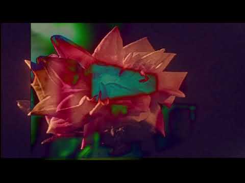 Albadore  - Duplicated (Official Music Video)