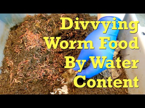 Tuning dampness with foods in red wiggler "buddy" worm bins - vermicompost