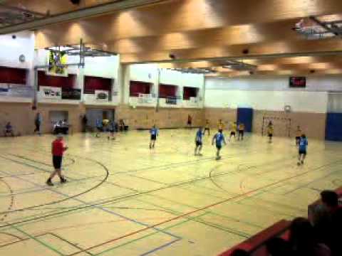 TV Neckargemünd - TSV Wieblingen (Sa., 19.11.2011, Heimspiel)