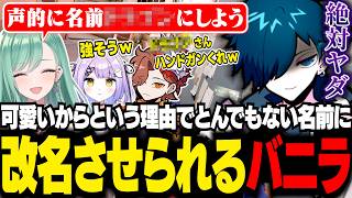 八雲べにから提案されたバニラの声に合った新しい名前がヤバすぎたｗ【VALORANT/バニラ/切り抜き】
