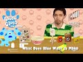 Blue S Clues A Reenactment Episode 8 What Does Blue Want To Make
