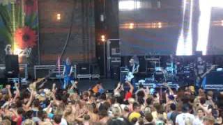 Regurgitator Everyday formula