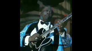 B.B. King beginning solo for " Blues Boys Tune " [live]