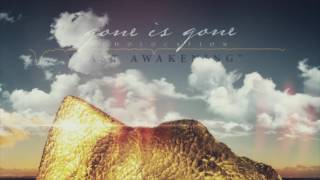 Gone Is Gone - Fast Awakening