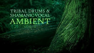 Tribal drums &amp; shamanic vocal ambient (vol. II) | Primordial II full album