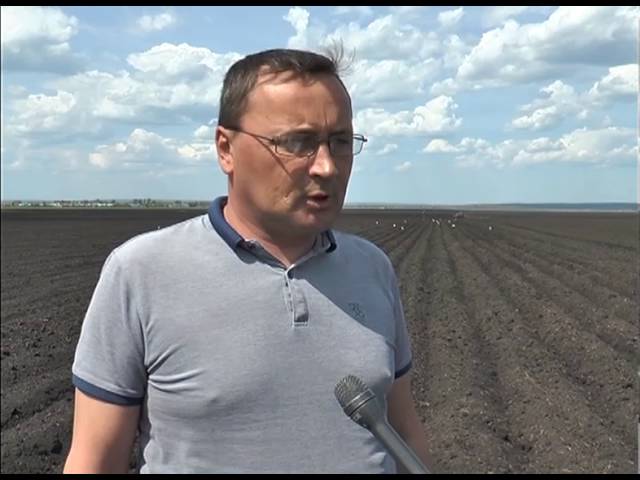 Югары табыш бирә торган культураны чәчәләр