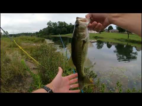 How to fish a Zoom Super Fluke.