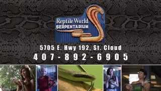 preview picture of video 'Reptile World Serpentarium'
