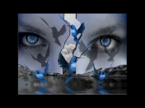 " MAGNES DUSZ "  -   Marek Torzewski