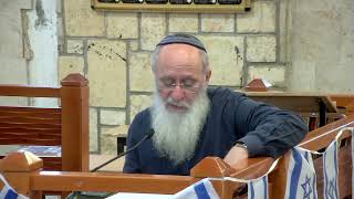 מפני מה עמי הארץ מתים ? - שיעור 17 - שמואל א' - פרקים ו'- ז' (הרב אורי עמוס שרקי) - התמונה מוצגת ישירות מתוך אתר האינטרנט יוטיוב. זכויות היוצרים בתמונה שייכות ליוצרה. קישור קרדיט למקור התוכן נמצא בתוך דף הסרטון