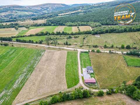 FILM! Teren extravilan, 2 fronturi stradale, cadru apreciabil, Lemnia, Covasna — Video