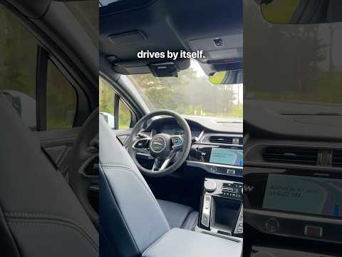 My honest review of Waymo’s driverless car! (I was shocked)