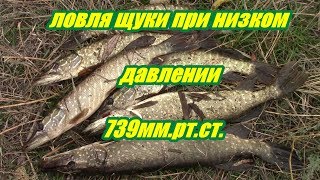 Ссылка
