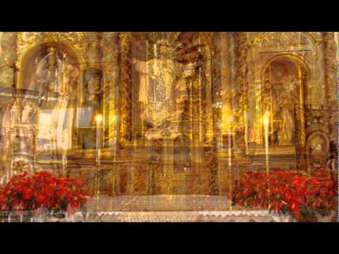 Evangelio del dia 20 de  Julio de 2011