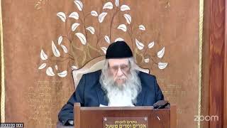 הרה"ג הרב וועכטר שליט"א כ"ז אדר תשפ"ה - מאמר הרבי הריי"צ פסח תרצ"ד ד"ה אור לארבע עשר חלק ב' (הרב אברהם מנחם מענדל וכטר) - התמונה מוצגת ישירות מתוך אתר האינטרנט יוטיוב. זכויות היוצרים בתמונה שייכות ליוצרה. קישור קרדיט למקור התוכן נמצא בתוך דף הסרטון