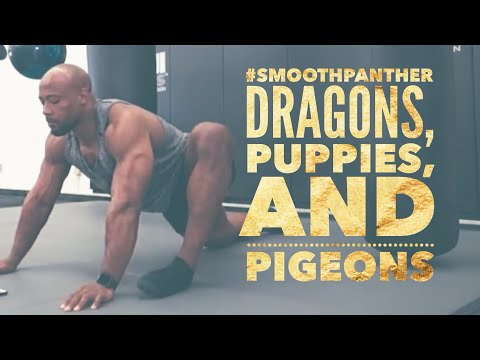 Smooth Panther Stretching 10 - Dragons, puppies, and pigeons (Mobility + Flexibility + Yoga)