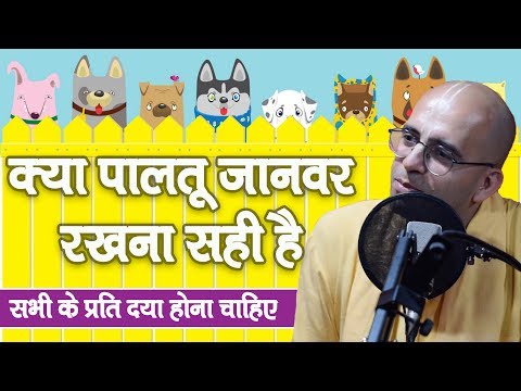 क्या पालतू जानवर रखना सही है || HG Amogh Lila Prabhu