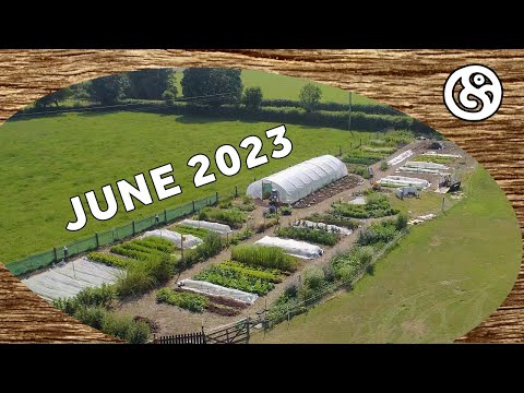 A Tour of our No Dig Market Garden and Food Forests