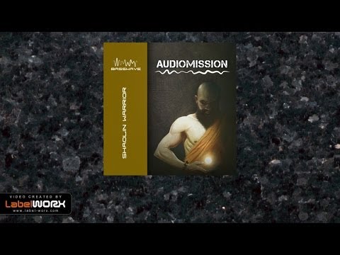 Audiomission - Shaolin Stance (Original Mix)