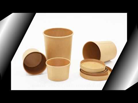 Biodegradable disposable food containers