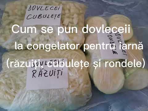 , title : 'Cum se pun dovleceii la congelator pentru iarnă (răzuiți, cubulețe și rondele)'