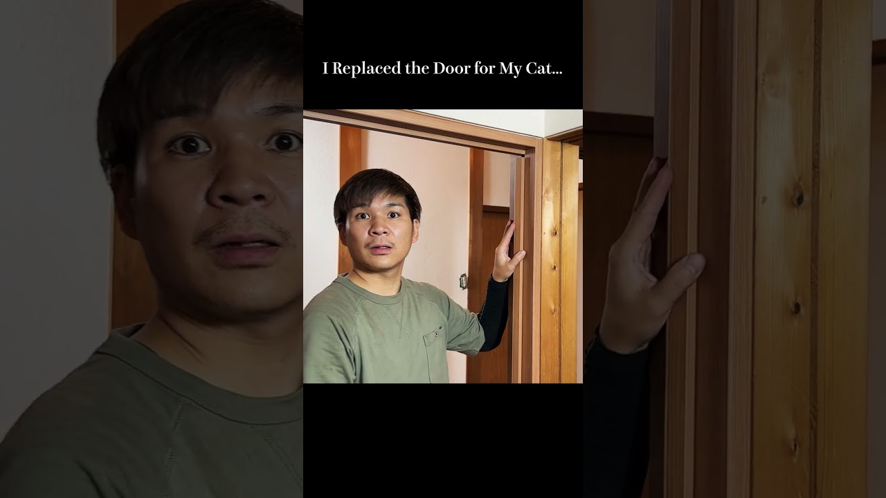 I Installed a Cat Door