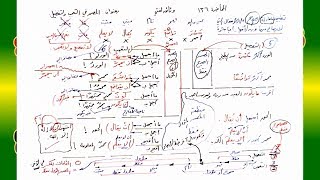 صورة 136 √ المصدر في التعجب والتفضيل