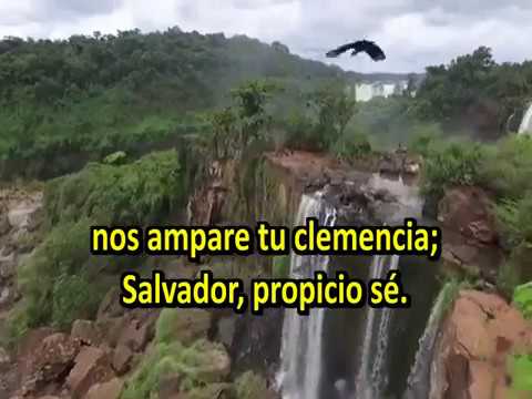 290 Fuente de la vida eterna