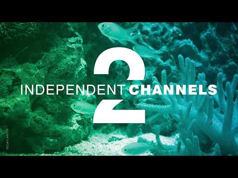 Watch Video on YouTube