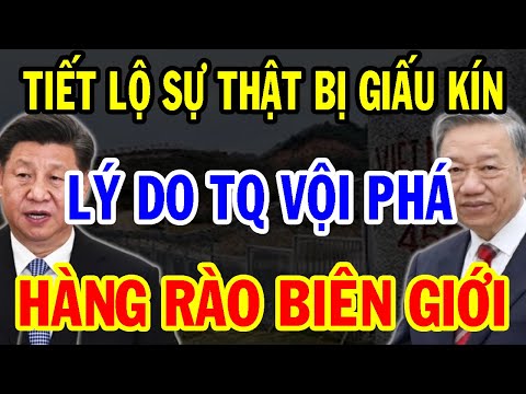 Bí Mật Ẩn Giấu: Không Ngờ Đây Mới Là Lí Do Khiến TQ Vội Vàng Phá Bỏ Hàng Rào Biên Giới Với Việt Nam