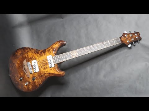 Couldn't Afford a PRS Private Stock, So I Made My Own