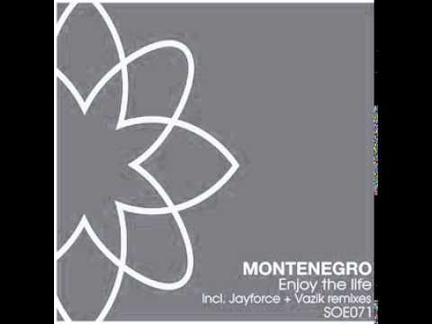 Montenegro - Enjoy The Life (Jayforce Remix)