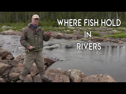 Where Trout & Salmon Hold in Rivers
