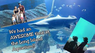 Taking a Family Trip to the BEST Aquarium in NY!!