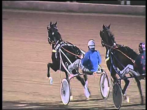 Trotto 22/10/2015 - 8° corsa