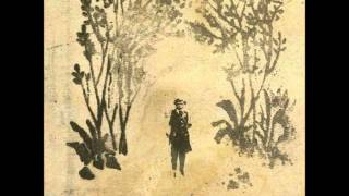 Sigur Rós - Ó Fridur