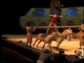 Circus Horses