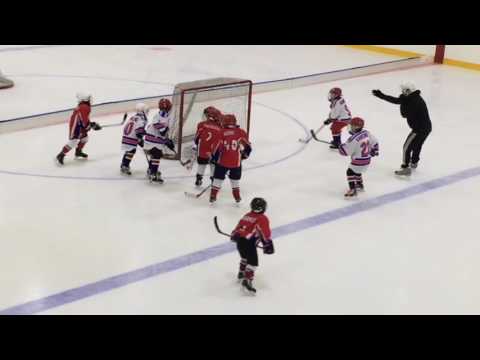 Leijonaliiga F2 viikingit - kojo 7.1.2017