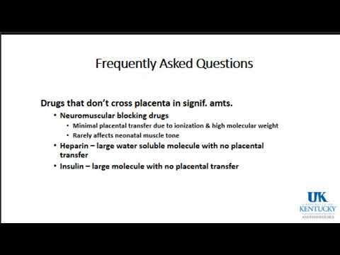 OB Keywords pt1 - Dr. Fragneto