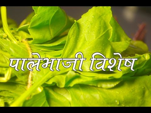 श्रावण रेसिपीज | GREEN LEAFY VEGETABLES RECIPES | AUTHENTIC MAHARASHTRIAN FOOD