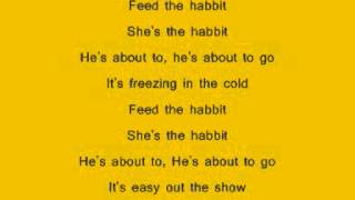 example never had a day lyrics