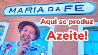 OQUE FAZER EM MARIA DA FÉ, TOUR PELA TERRA DO AZEITE NO BRASIL  viajando na viagem