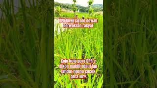 Download lagu Kiro kiro cocok pora lur? #nature #suasanayangindah #dpr #shorts mp3