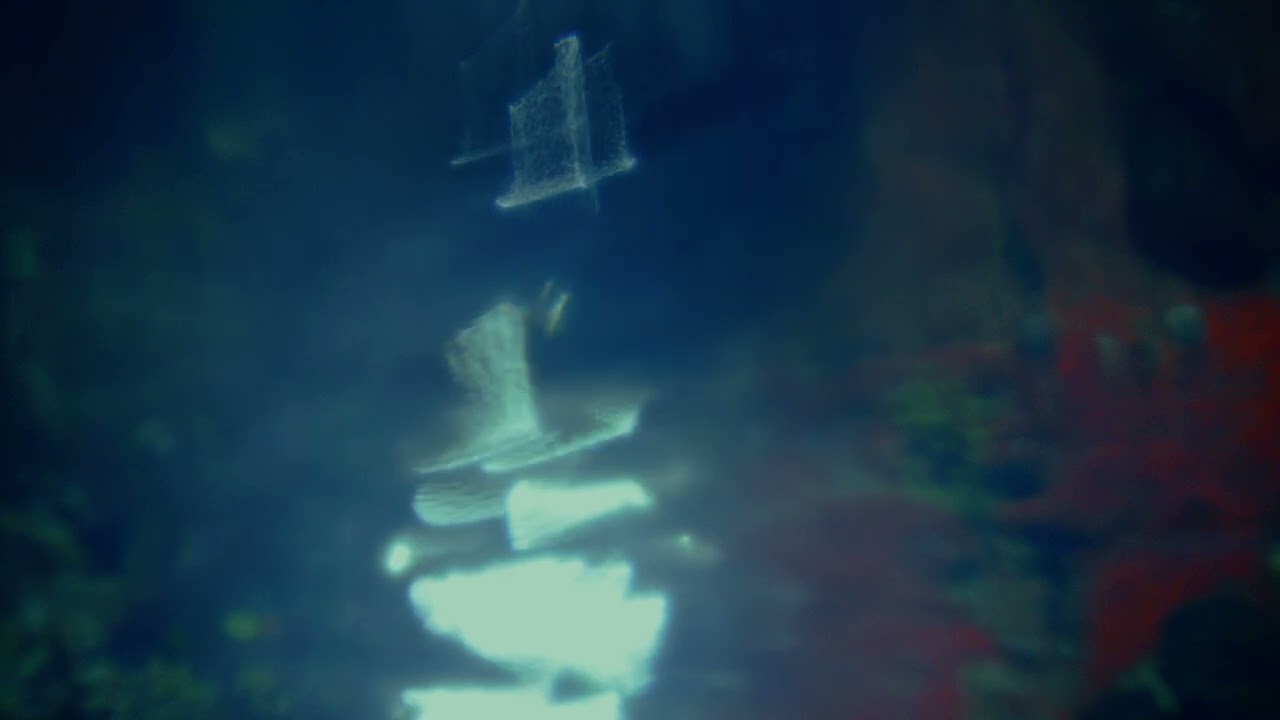 Moonrise (Official Visualiser)