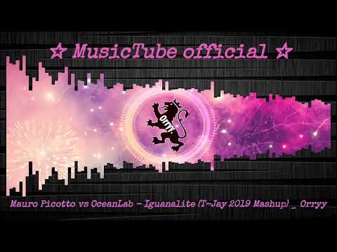 Mauro Picotto vs OceanLab   Iguanalite T Jay 2019 Mashup   Orryy visualization